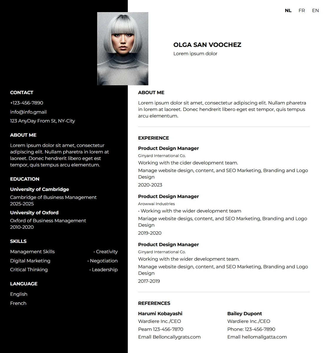 Example of a CV